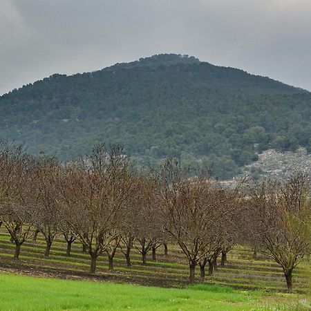 Pearl Of The Valley Hotel Kfar Tavor Exteriör bild
