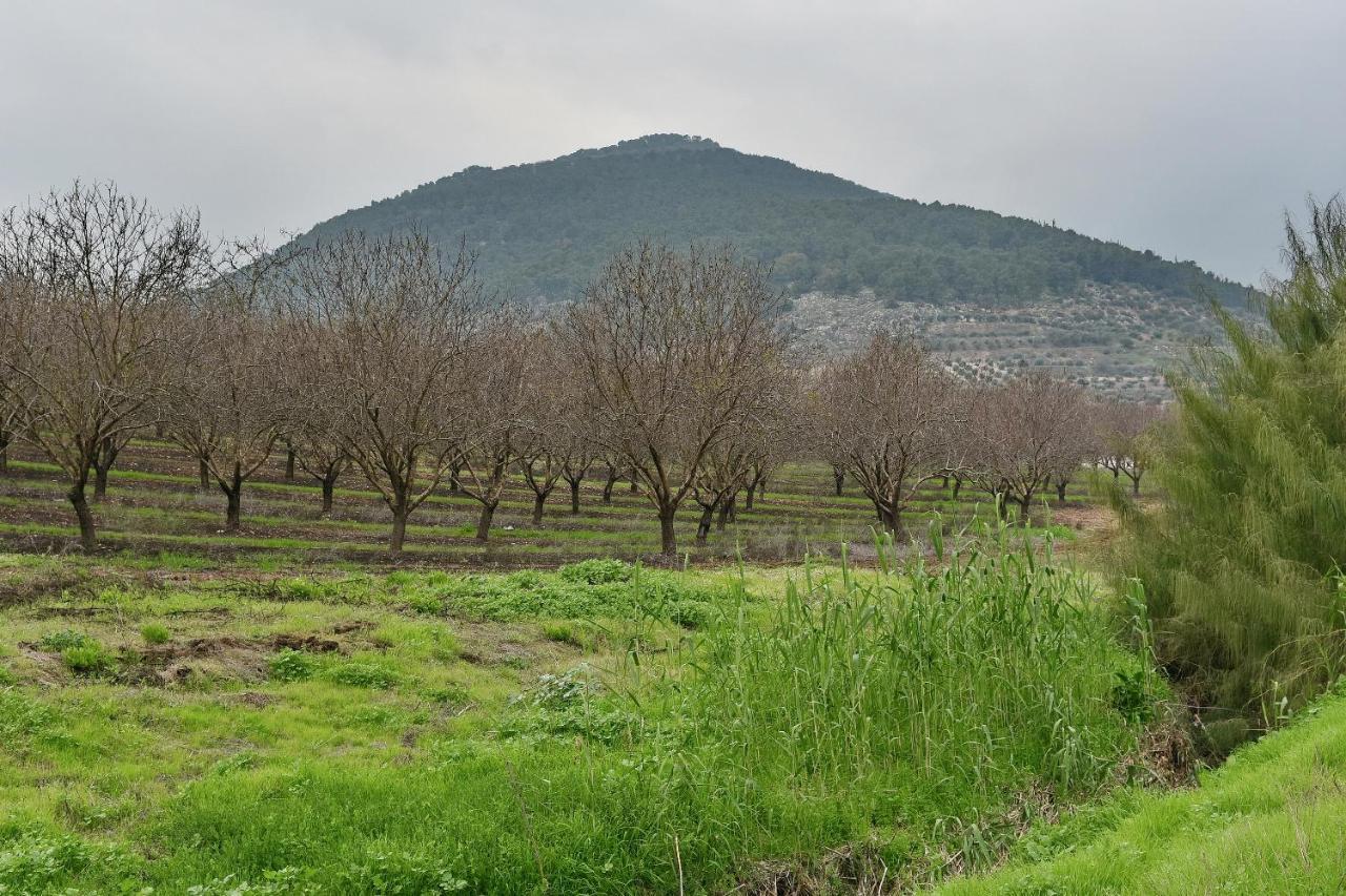 Pearl Of The Valley Hotel Kfar Tavor Exteriör bild